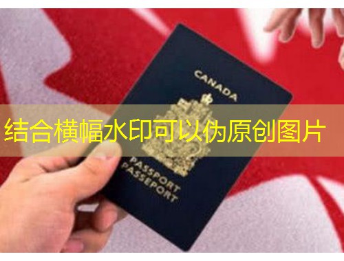 草原之外，还有第二条“呼伦贝尔”？——选对移民中介，把辽阔未来装进护照